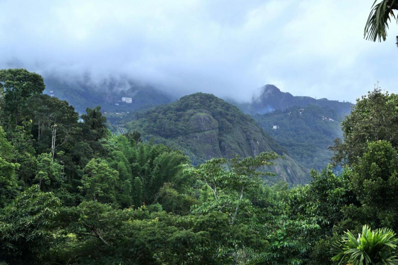 Ayursakthi Riverdale Munnar Bagian luar foto