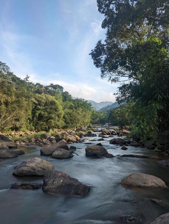 Ayursakthi Riverdale Munnar Bagian luar foto