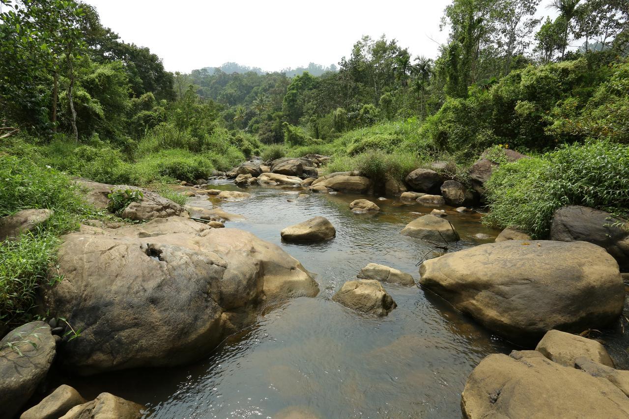 Ayursakthi Riverdale Munnar Bagian luar foto