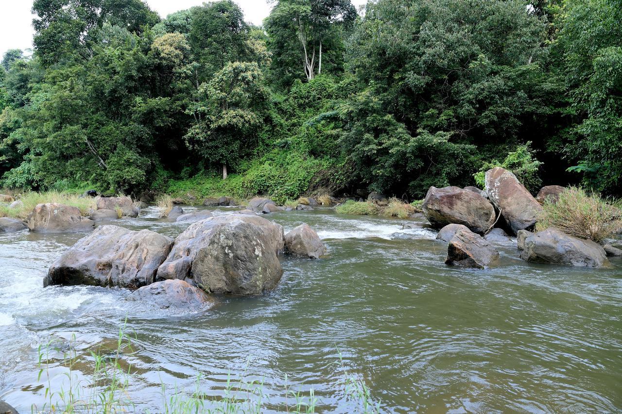 Ayursakthi Riverdale Munnar Bagian luar foto