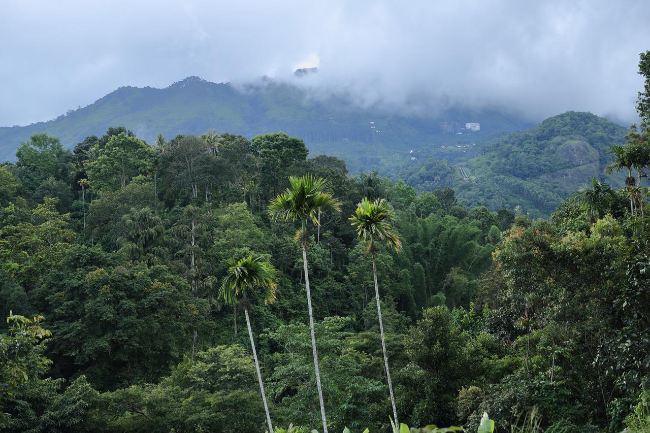 Ayursakthi Riverdale Munnar Bagian luar foto