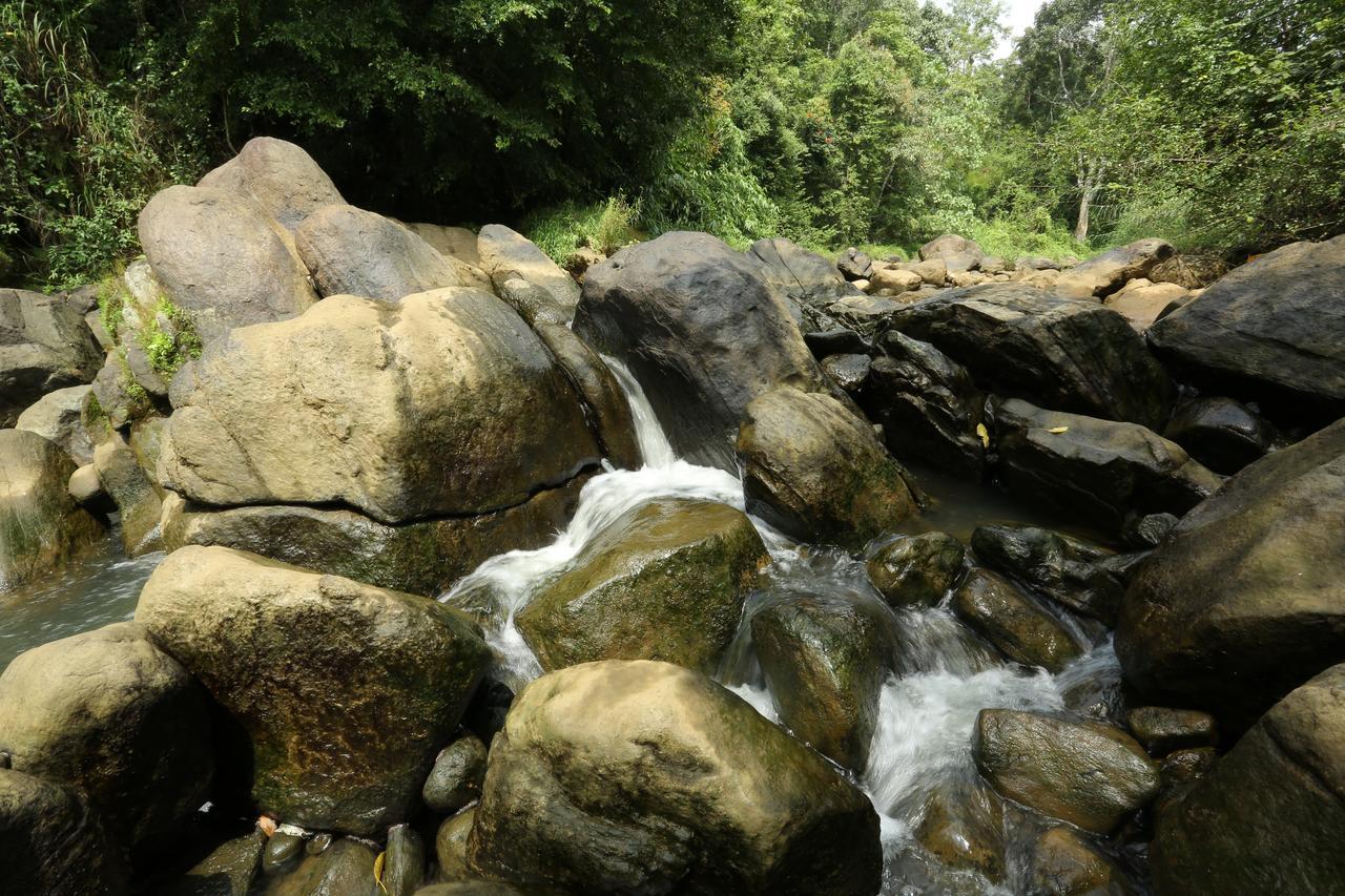 Ayursakthi Riverdale Munnar Bagian luar foto